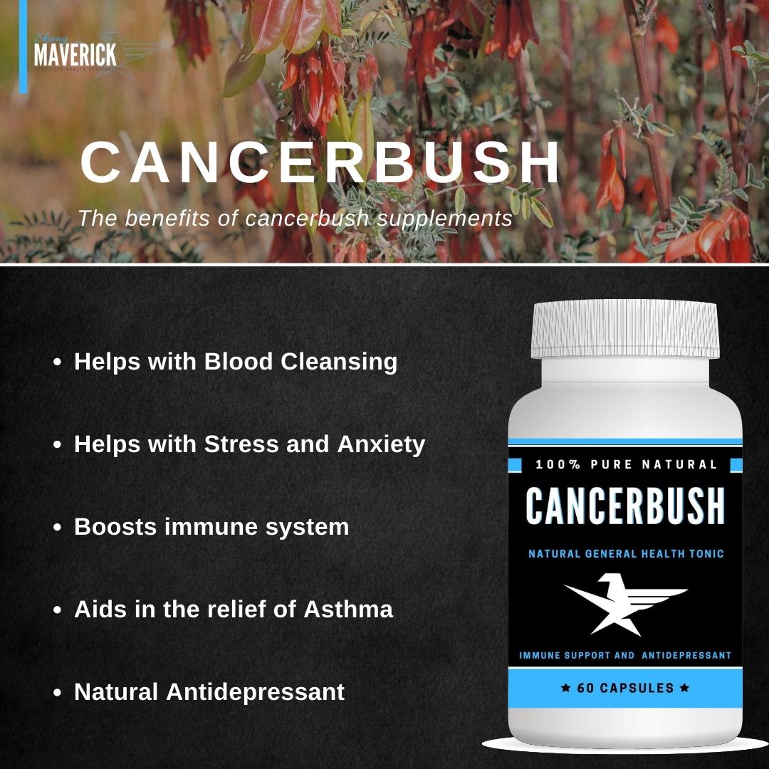 Cancerbush Benefits