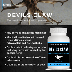 Devils Claw Benefits