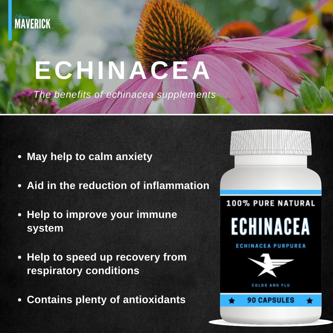 Echinacea Benefits